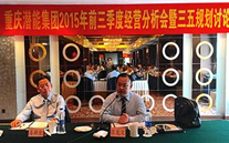 紧盯目标，全力冲刺；凝神聚力，再策再谋——云顶集团3118集团2015年1—9月经济运营分析暨“三五”规划讨论会