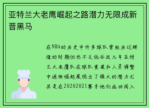 亚特兰大老鹰崛起之路潜力无限成新晋黑马